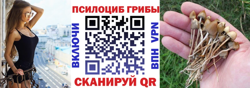 Галлюциногенные грибы MAGIC MUSHROOMS  Купить где  Могоча 