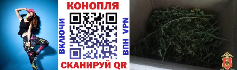 Купить закладки  Могоча  Шишки марихуана OG Kush 